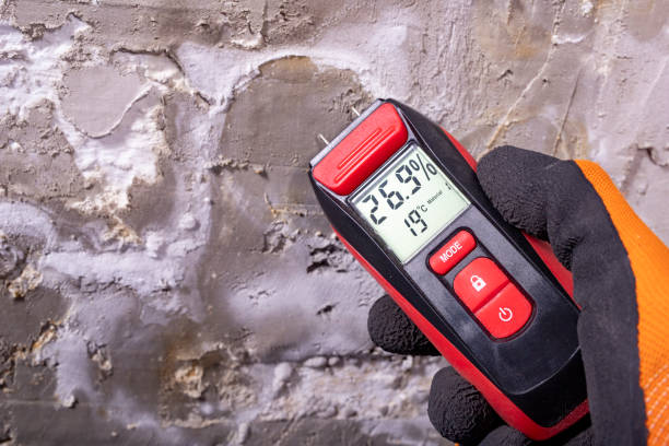 Best Mold Testing and Inspection Services in Russellville, AL